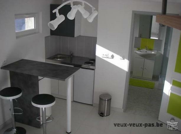 Studio 25 m² Etudiant avec Clim + parking