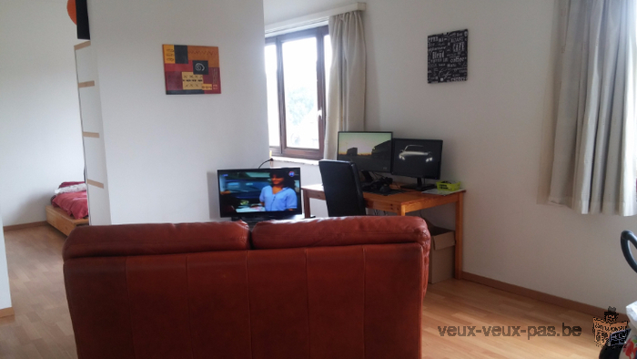 appartement 1 chambre sur ottignies