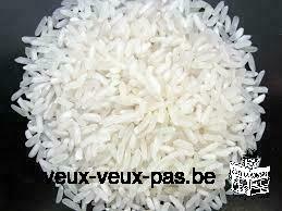 Recherche fournisseur de riz