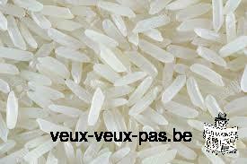 Recherche fournisseur de riz