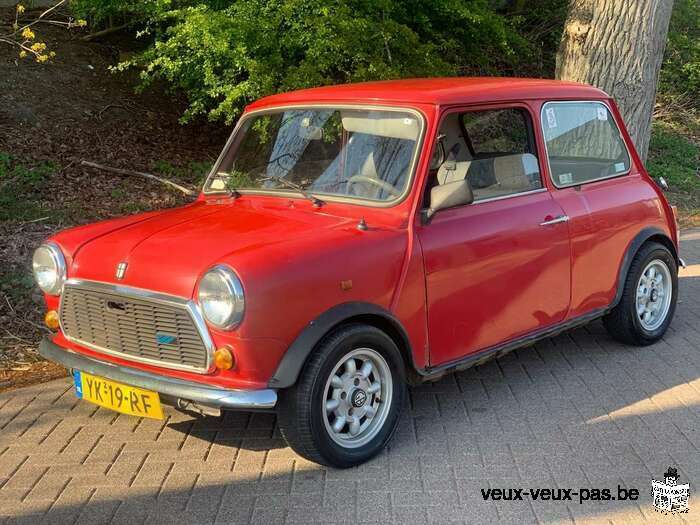 Austin Mini oldtimer