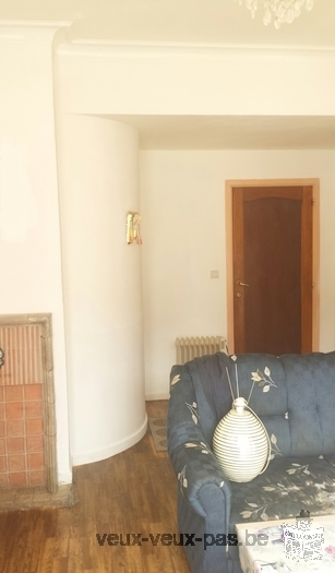 Appartement à Vendre Bruxelles / Schaerbeek