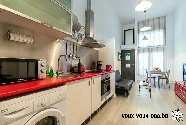 Magnificent furnished Duplex Studio of 40m² in Bruxelles-1000