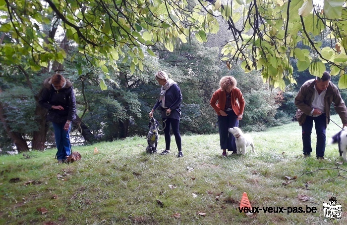 Votre chien tire en laisse STOP qu’au cycle infernal. Cours particulier