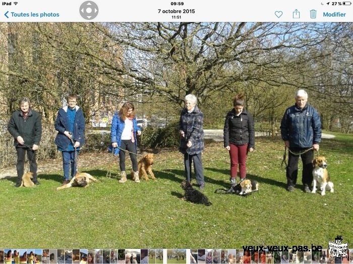 Votre chien tire en laisse STOP qu’au cycle infernal. Cours particulier