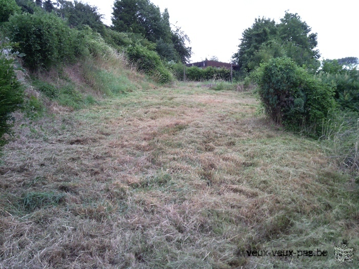 deux parcelles reprise pour une