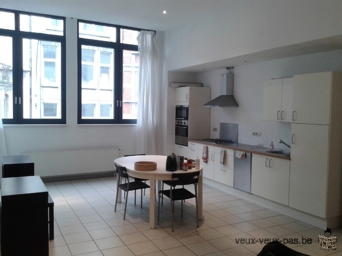 Magnifique appartement 1 chambre de 80 m²