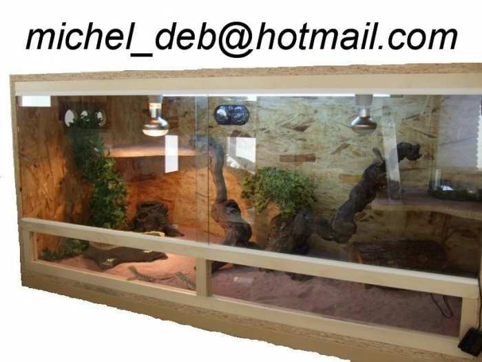 Fabrication de terrarium sur mesure