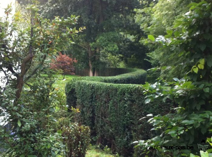 Entretien et aménagement de jardin