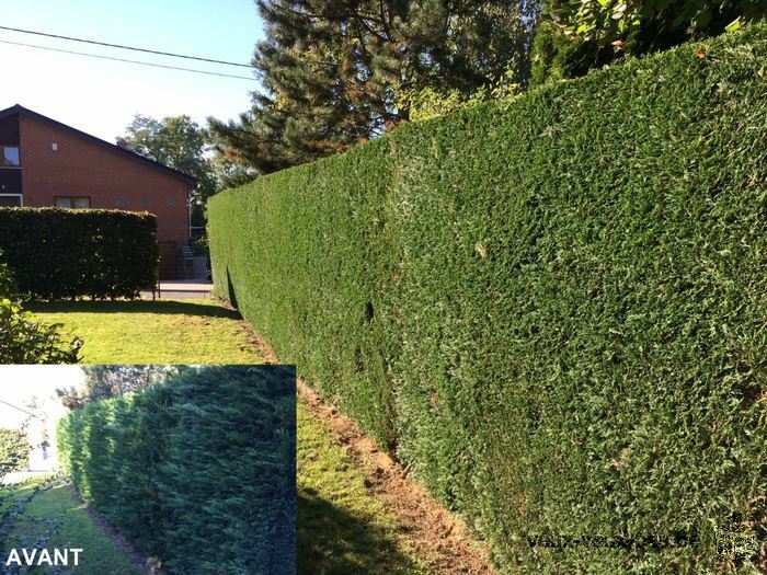 Entretien et aménagement de jardin