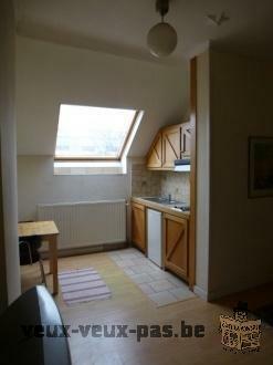 Belle Studio à louer à Uccle 47 m²