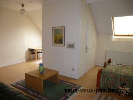 Belle Studio à louer à Uccle 47 m²