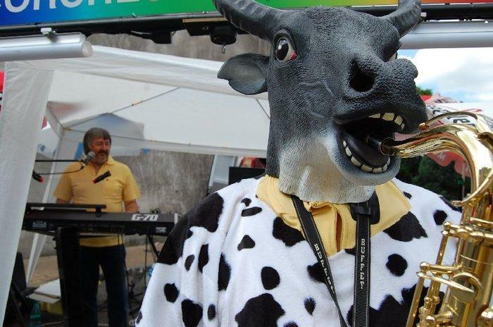 une VACHE jouant du SAXOPHONE ?