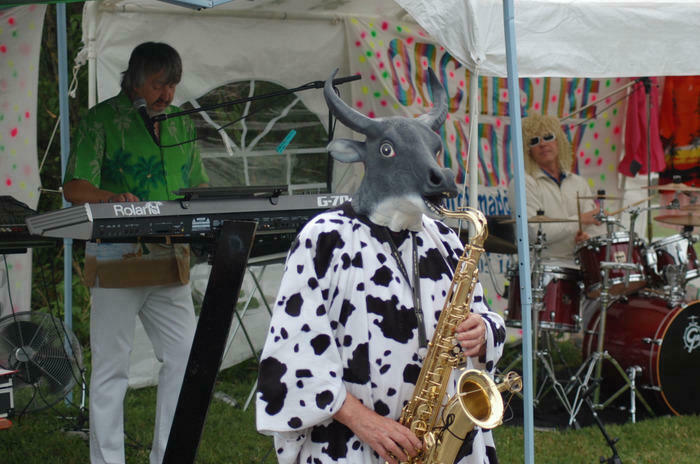 une VACHE jouant du SAXOPHONE ?