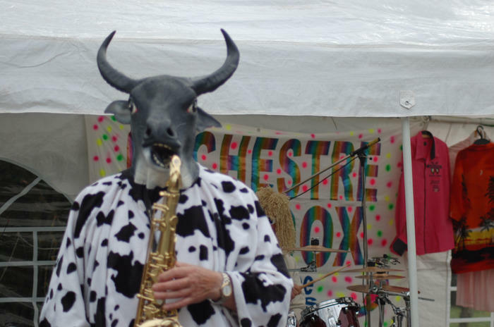 une VACHE jouant du SAXOPHONE ?