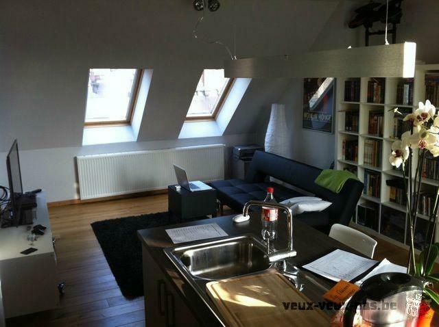 Studio meublé 47m²