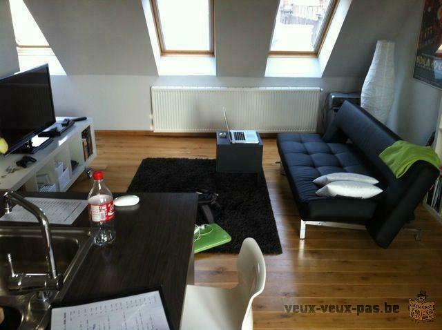 Studio meublé 47m²