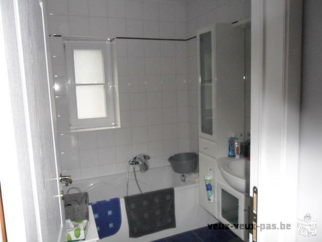 Spacieux Appartement 1 chambre meublé de 70m²