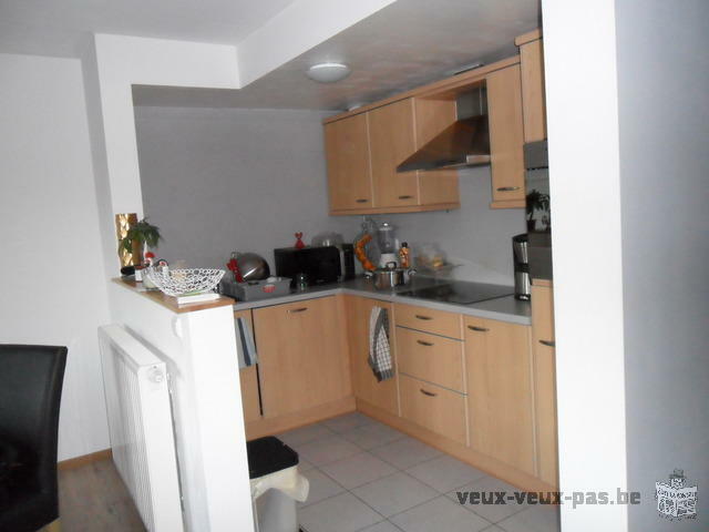 Spacieux Appartement 1 chambre meublé de 70m²