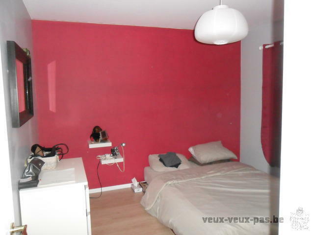 Spacieux Appartement 1 chambre meublé de 70m²