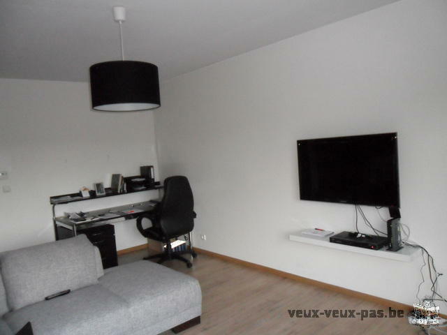 Spacieux Appartement 1 chambre meublé de 70m²