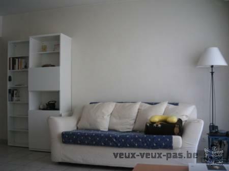 Location T2 meublé dans immeuble standing