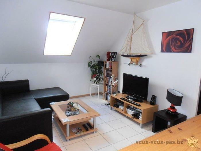 Appartement - 30 m2 refait à neuf