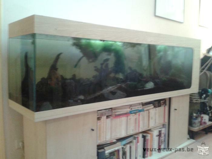 Lot de 2 aquariums complets 300 et 500 litres avec meubles + nombreux cadeaux