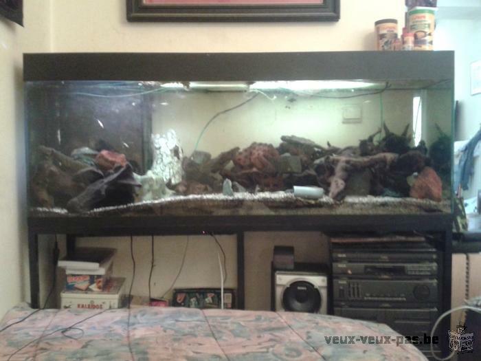 Lot de 2 aquariums complets 300 et 500 litres avec meubles + nombreux cadeaux