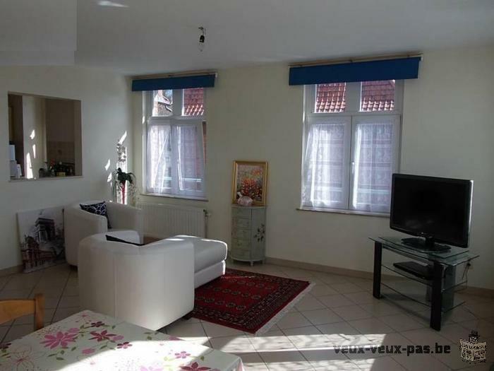 Appartement avec 2 chambres à Tournai