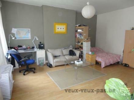 Studio à louer à Ixelles