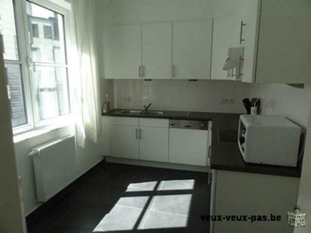 Appartement meublé 2 chambres 18m² et 14m²