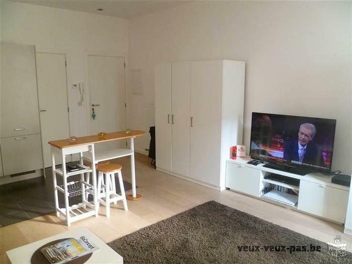 Studio 1 pièce meublé de 35m²