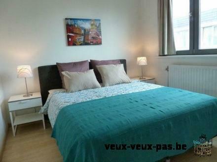 Appartement 2 pièces de 105m² meublé