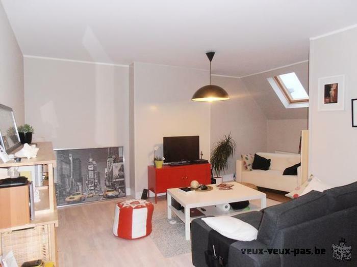 Sypathique 1 Chambre meublé avec cuisine 55m² en plein Liège