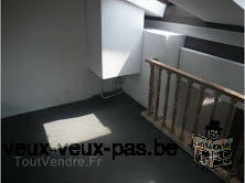 BEAU STUDIO AVEC CHAMBRE EN MEZZANINE