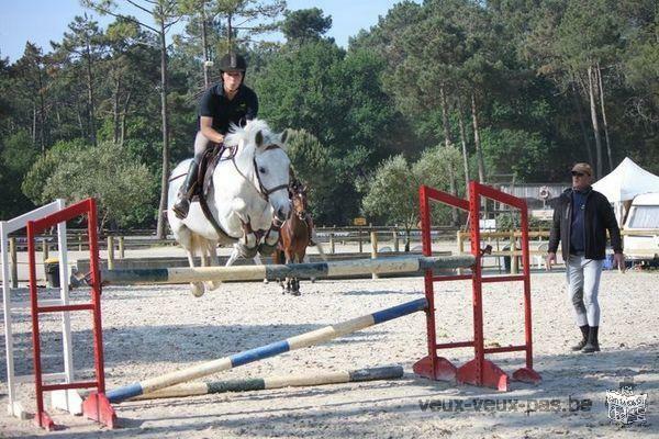 Poney 15 ans a donner