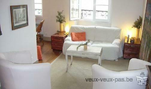 Coquet Appartement 1piece 48m2 bruxelles ville