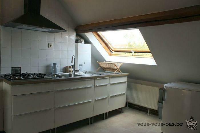 Flat/Studio meublé de 50m² sur Bruxelles ville