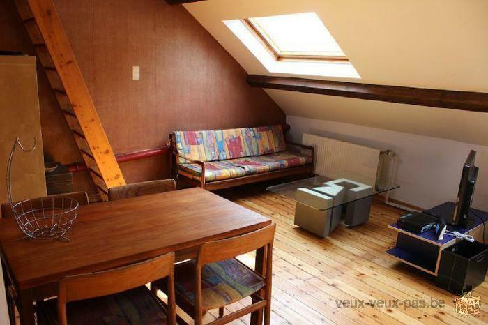 Flat/Studio meublé de 50m² sur Bruxelles ville