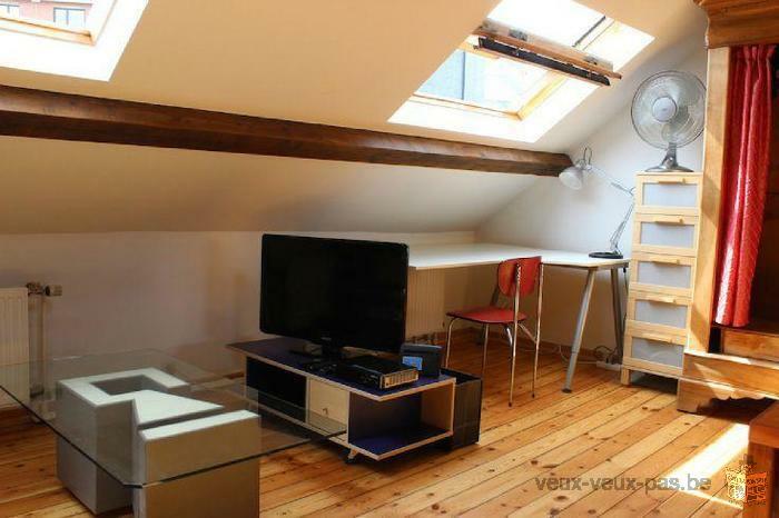 Flat/Studio meublé de 50m² sur Bruxelles ville