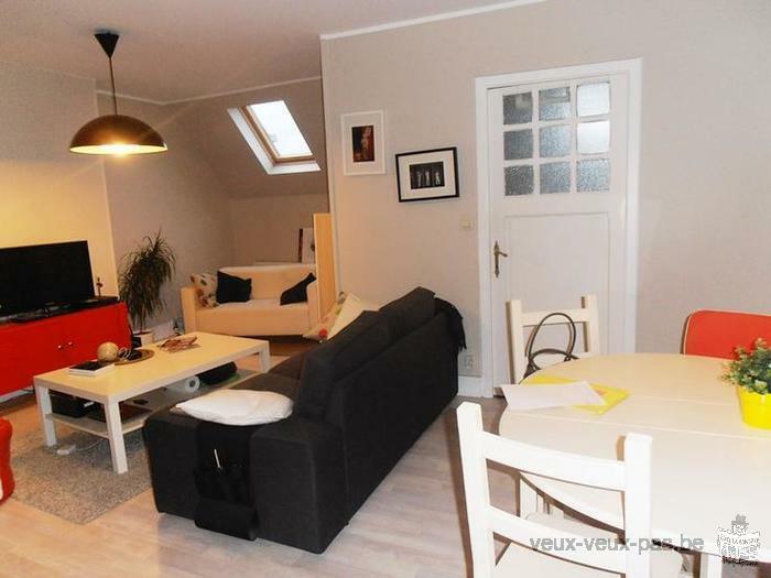 Appartement 1 Chambre meublé de 55m² dans La Louvière près de ISM