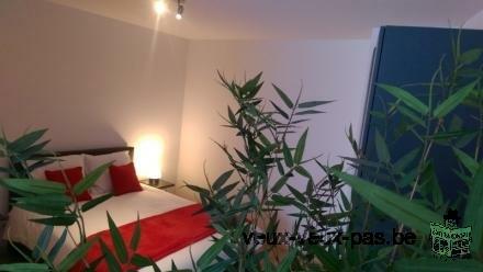 Appartement 60 m² avec 1 chambre