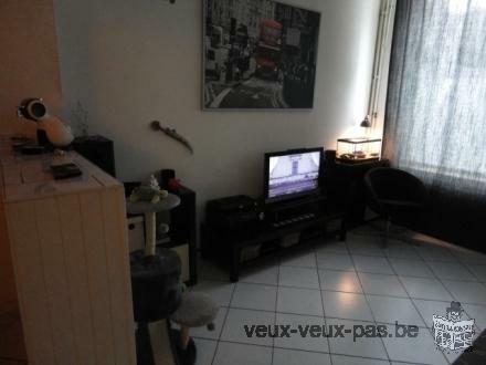 Très beau appartement meublé avec 1 chambres 55 m²