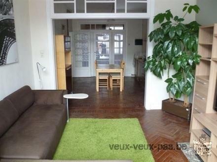 Superbe appartement meublé 1 chambre 75m²