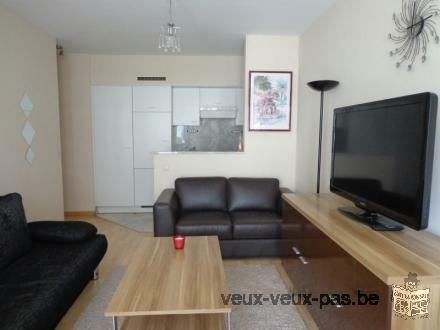 Confortable studio meublé de 45m² 1 chambre