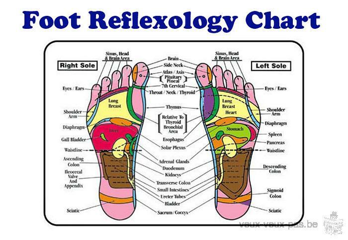 Cours de Réflexologie plantaire