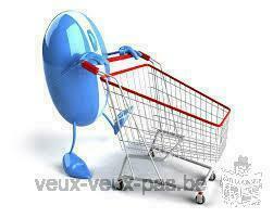 Online stores, Blogs, Web sites, Social network Creation