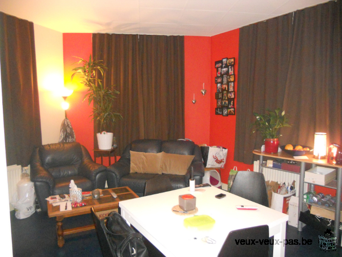 Appartement 1chambre de 50m² sur Liège