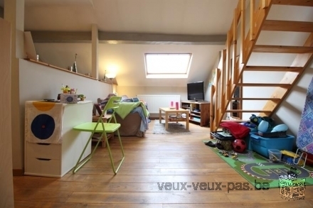 Bel appartement 1 chambre 55 m² à Meublé Schaerbeek